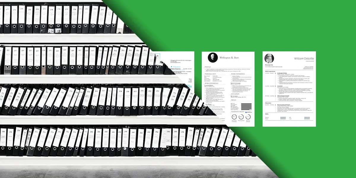 10+ Accountant Resume Samples & Examples