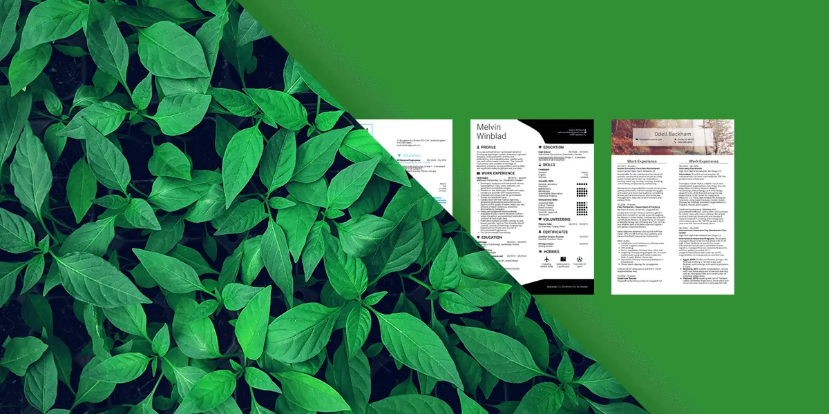7 ejemplos de currículums para empleos ecológicos (+consejos para crear el tuyo propio)