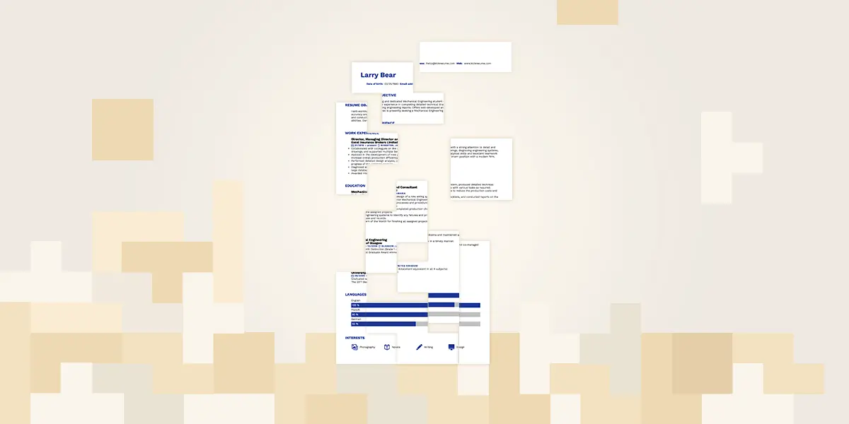 Resume Sections: How to Organize Your Resume? (+Examples)