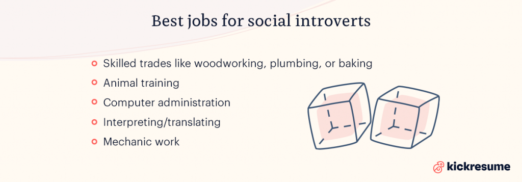 best jobs for social introverts