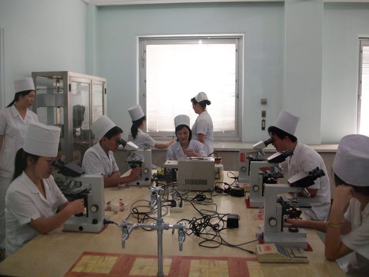 doctors in north korea