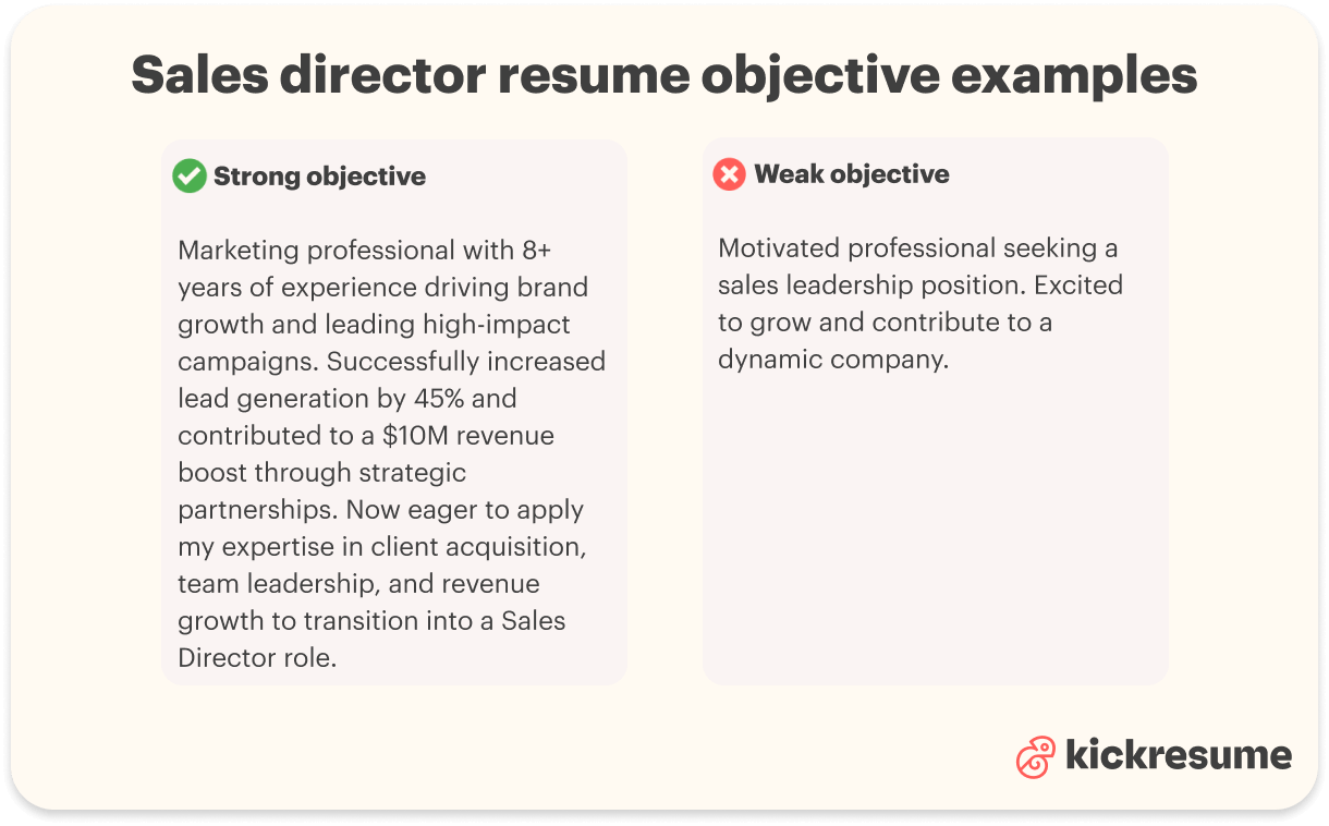 Sales director resume objective examples